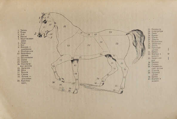 Далматов А.Д. Справочная книжка кавалериста, коневода, спортсмена и любителя лошади. В 2 ч. Ч. 1-2. Пб., 1921.